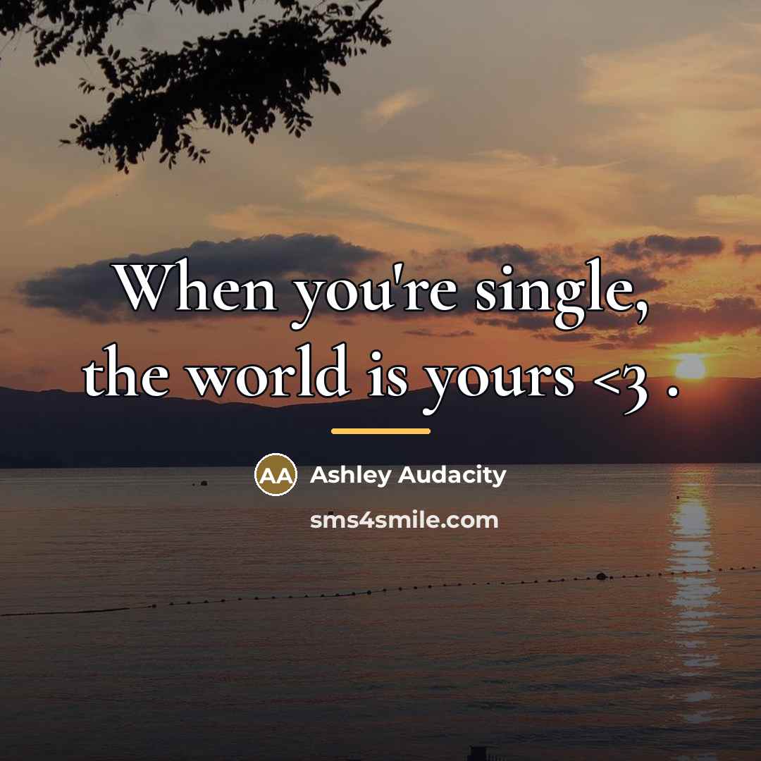 “When you're single, the world is yours…” quote by Ashley Audacity