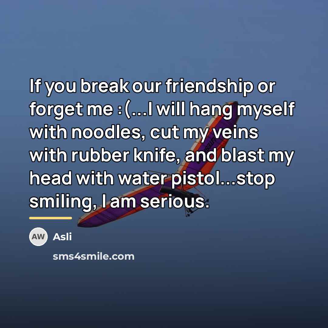 “If you break our friendship or forget me :(...I will…” quote by Asli