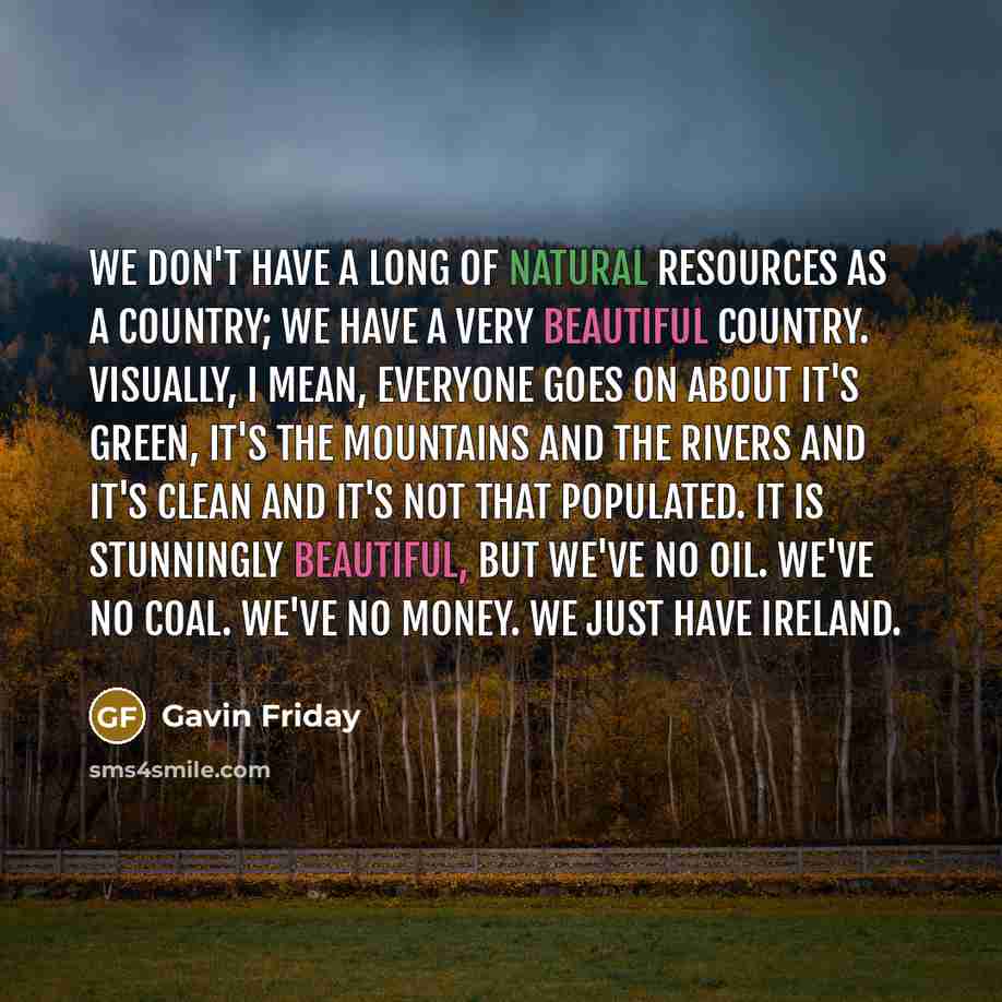 “We don't have a long of natural resources as a…” quote by Gavin Friday