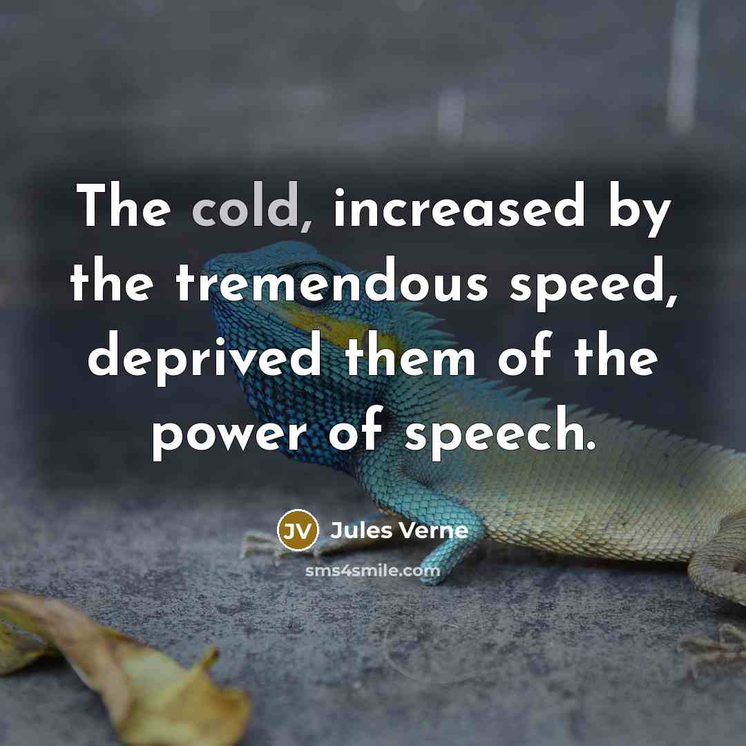 “The cold, increased by the tremendous speed, deprived them of the power of speech.” quote by Jules Verne