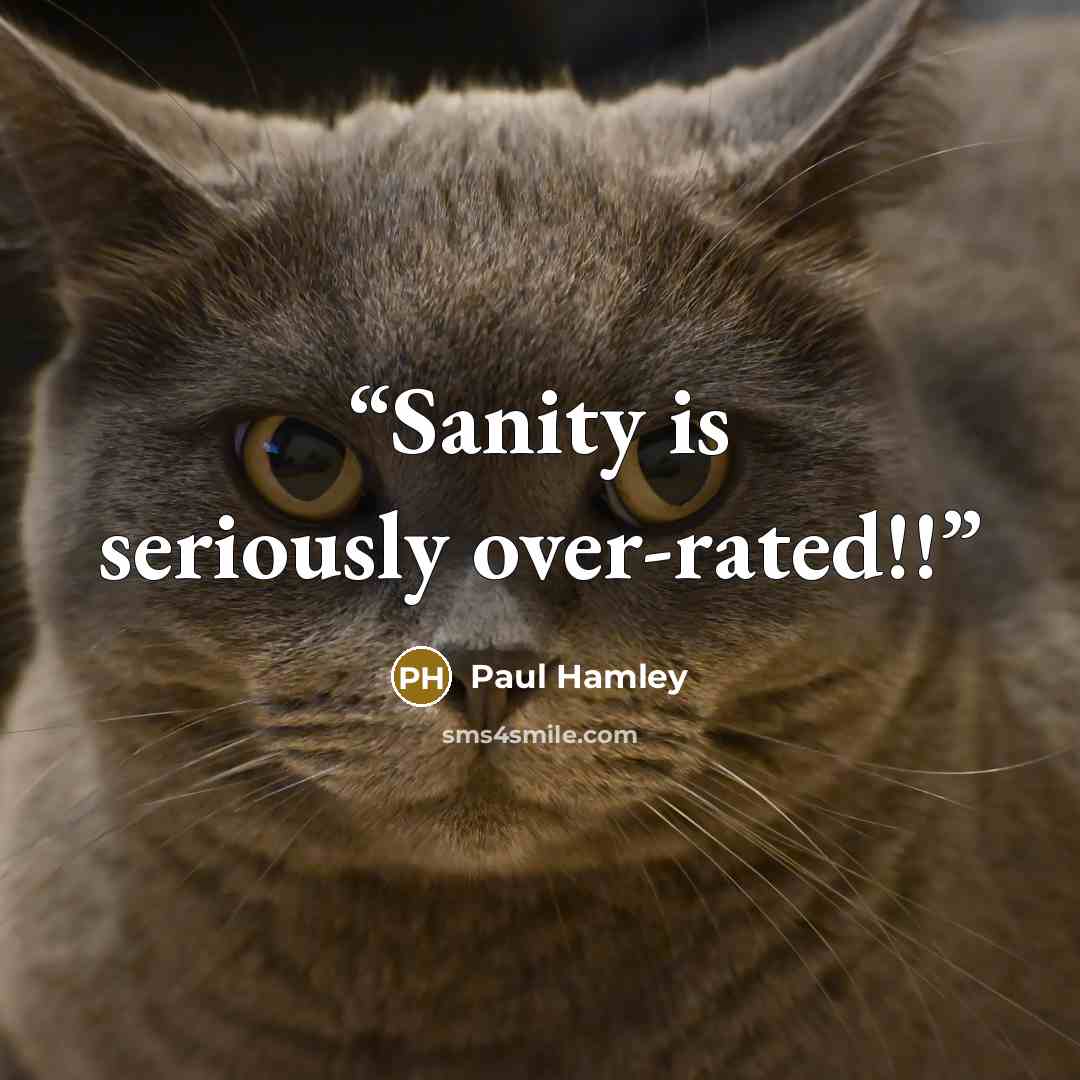 “Sanity is seriously over-rated!!” quote by Paul Hamley