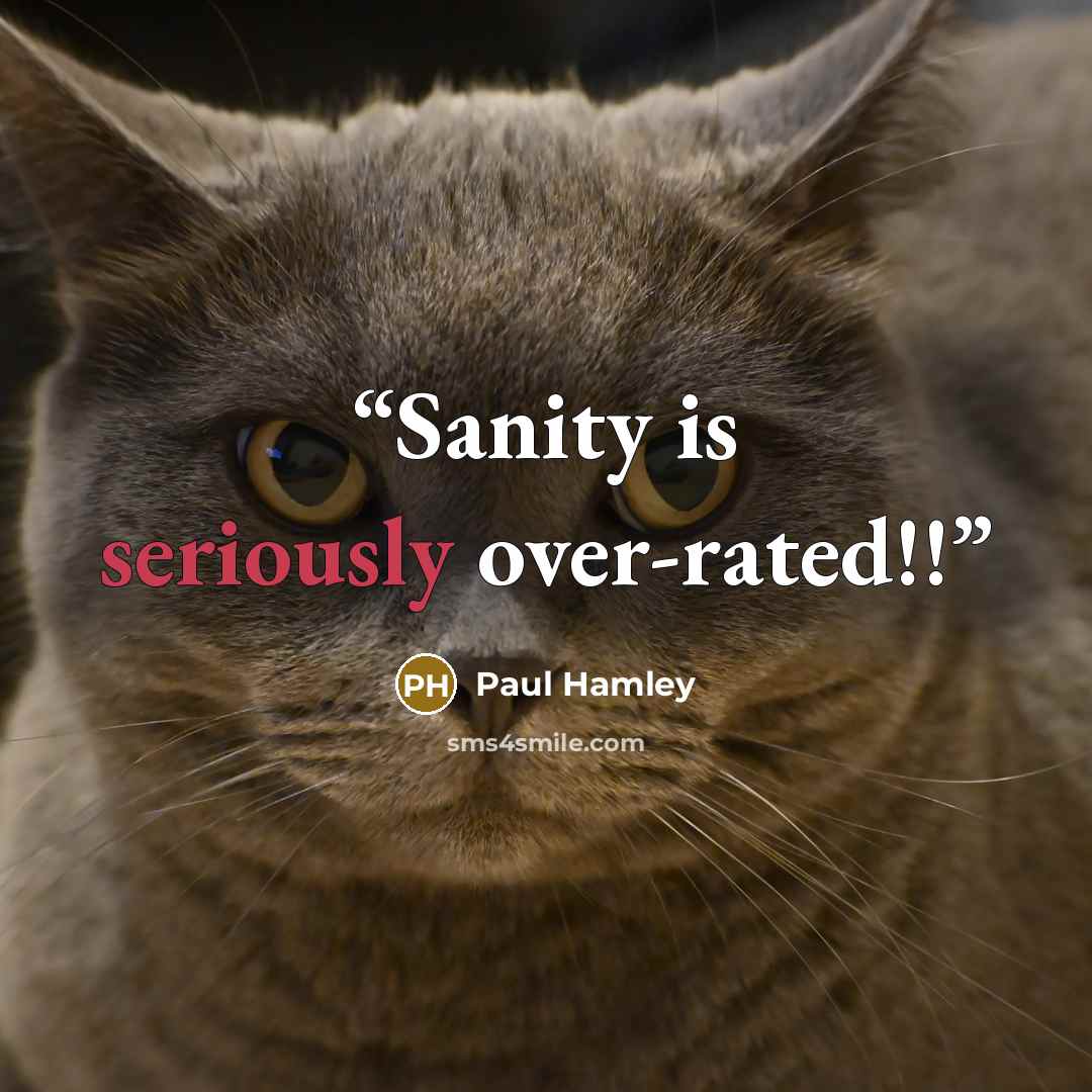 “Sanity is seriously over-rated!!” quote by Paul Hamley