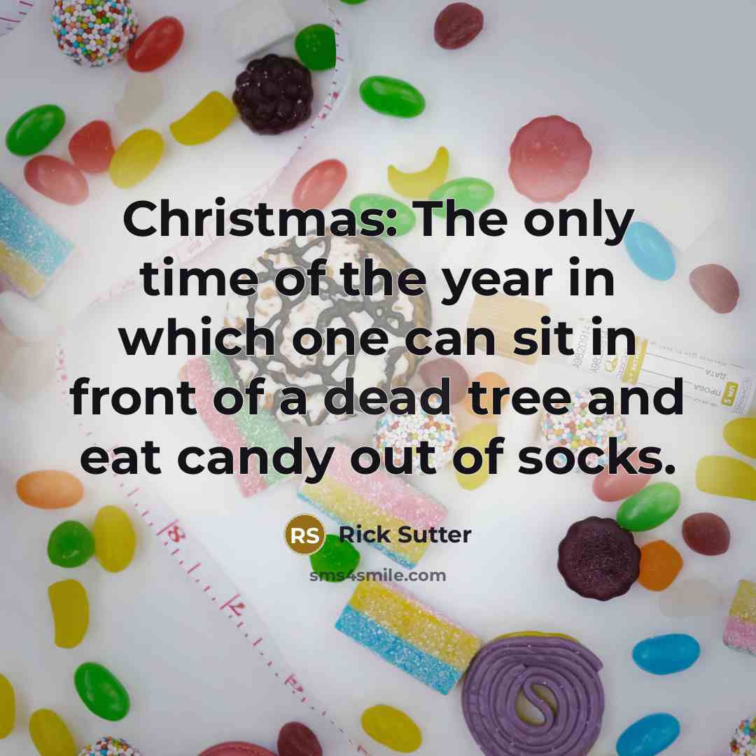 “Christmas: The only time of the year in which one can sit in front of a dead tree and eat candy out of socks.” quote by Rick Sutter