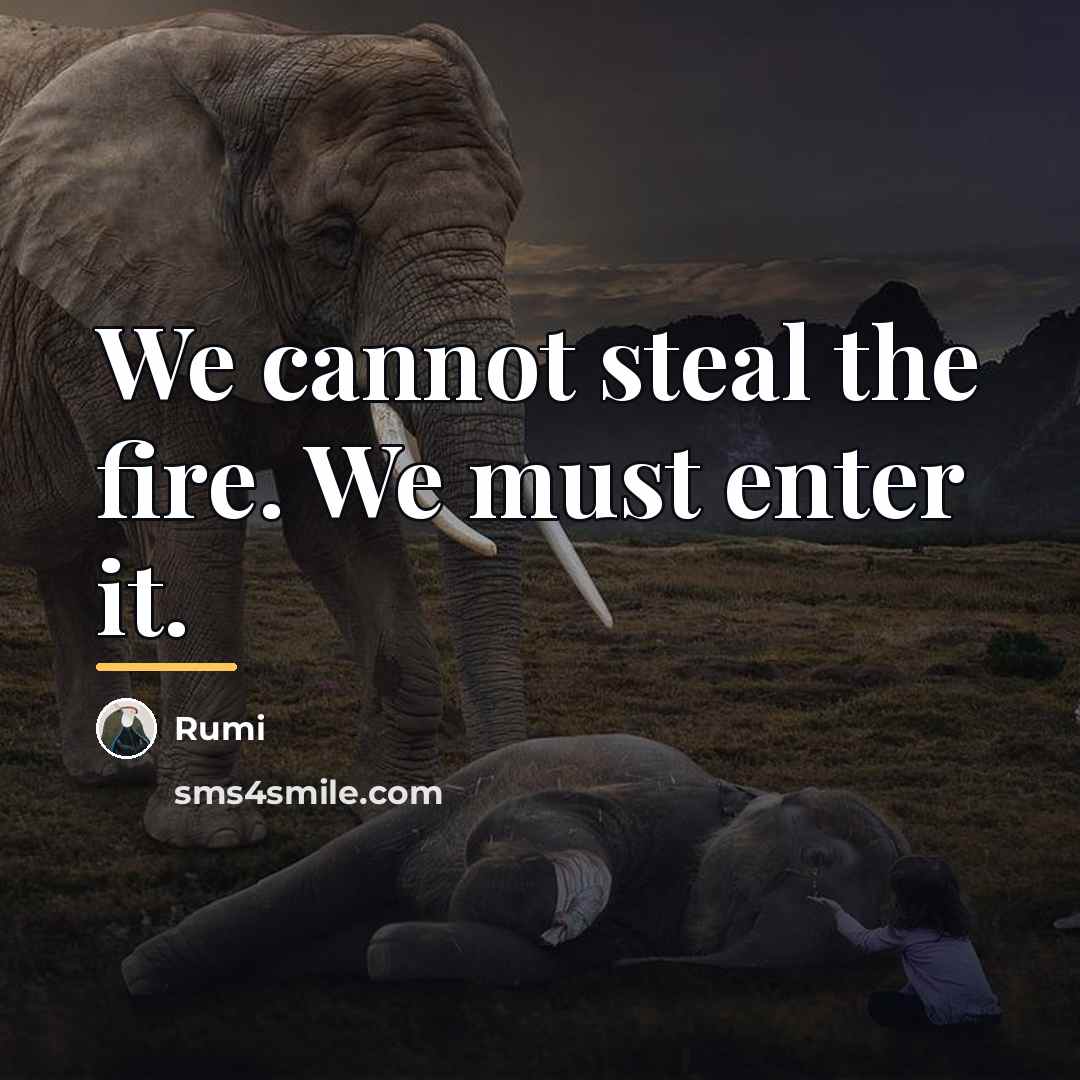“We cannot steal the fire. We must enter it.…” quote by Rumi