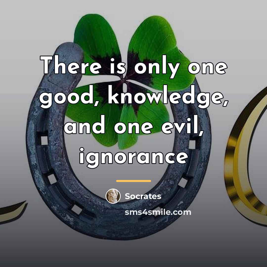 “There is only one good, knowledge, and one evil, ignorance…” quote by Socrates
