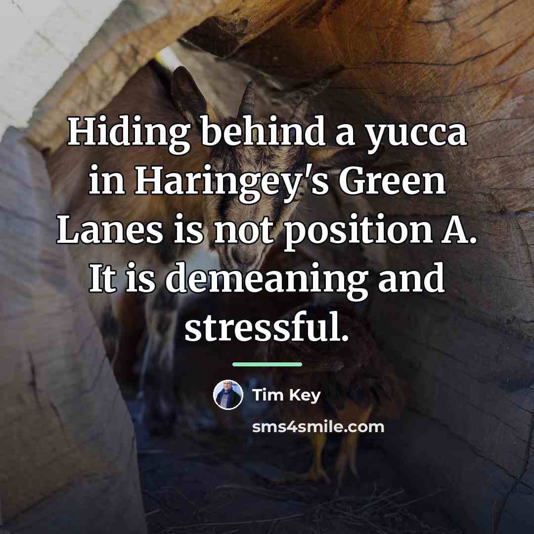 “Hiding behind a yucca in Haringey's Green Lanes is not…” quote by Tim Key