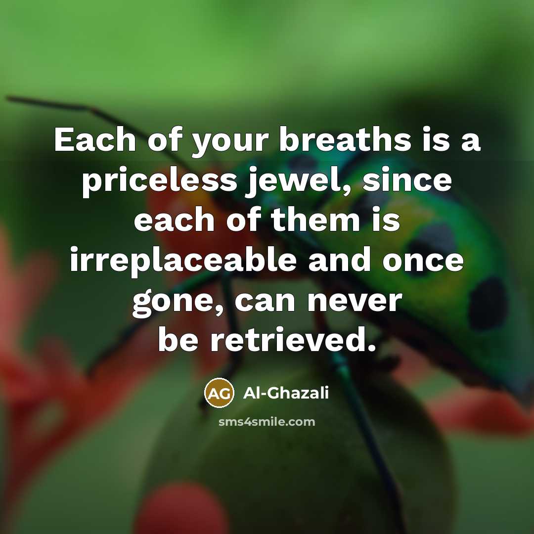 “Each of your breaths is a priceless jewel, since each…” quote by Al-Ghazali