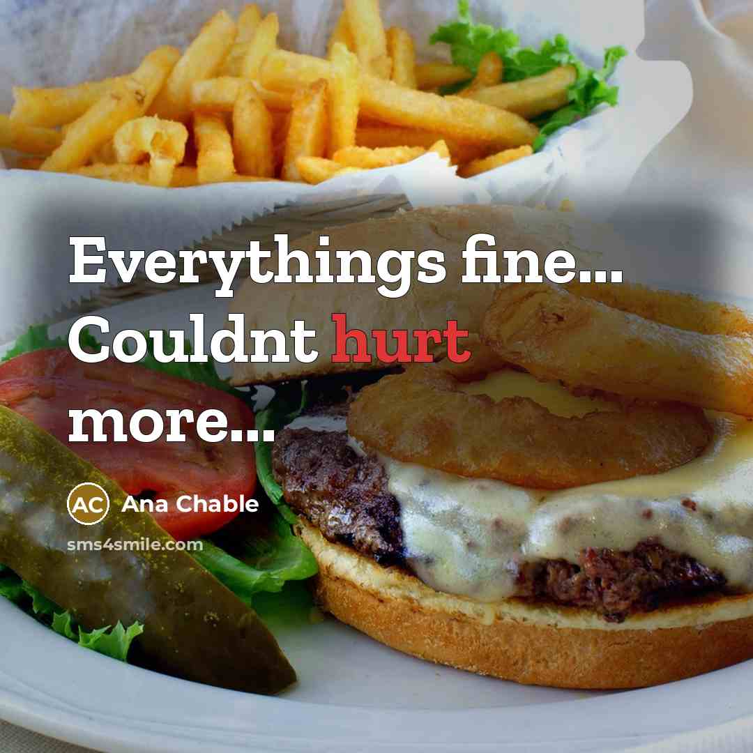“Everythings fine... Couldnt hurt more...…” quote by Ana Chable