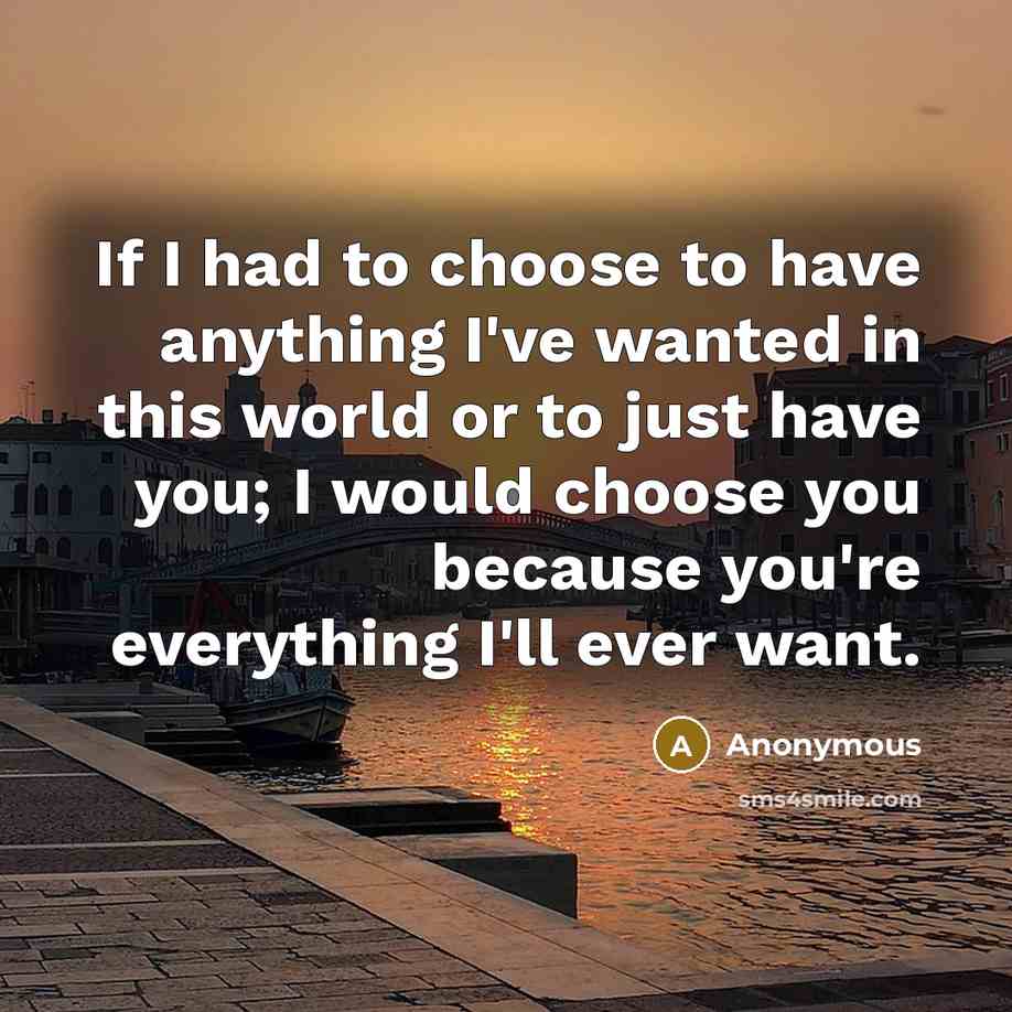 “If I had to choose to have anything I've wanted in this world or to just have you; I would choose you because you're everything I'll ever want.” quote by Anonymous