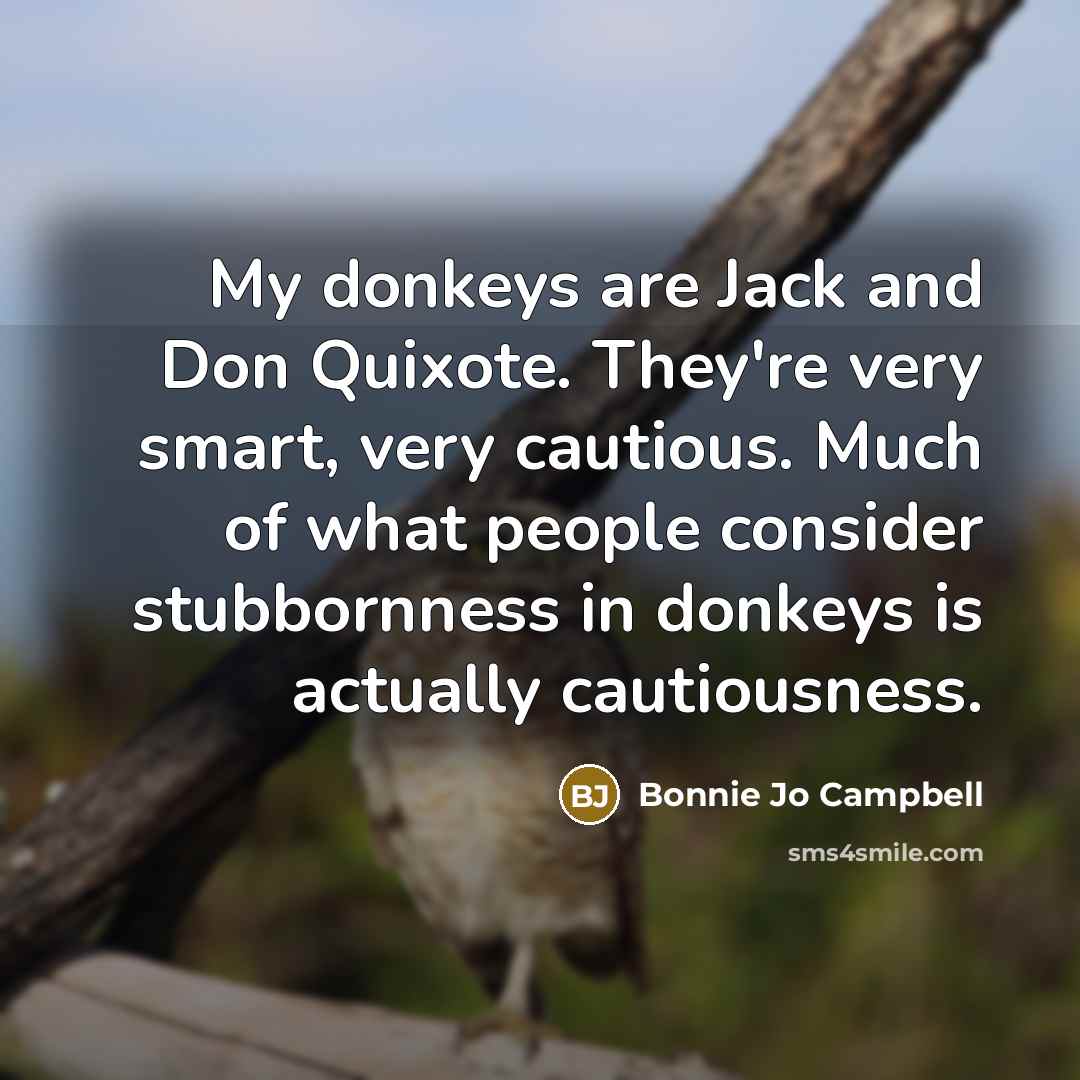 “My donkeys are Jack and Don Quixote. They're very smart,…” quote by Bonnie Jo Campbell