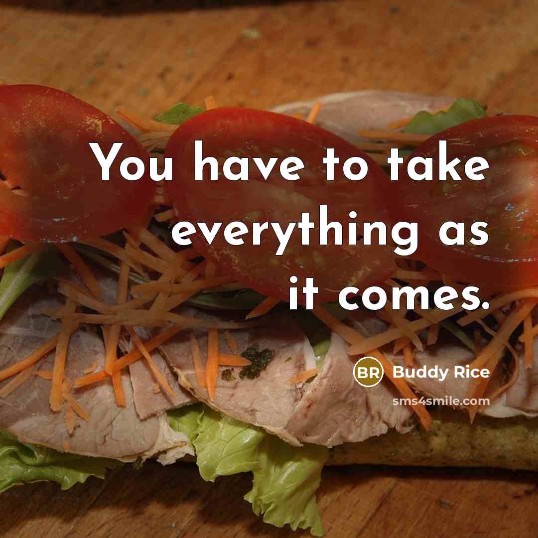 “You have to take everything as it comes.” quote by Buddy Rice