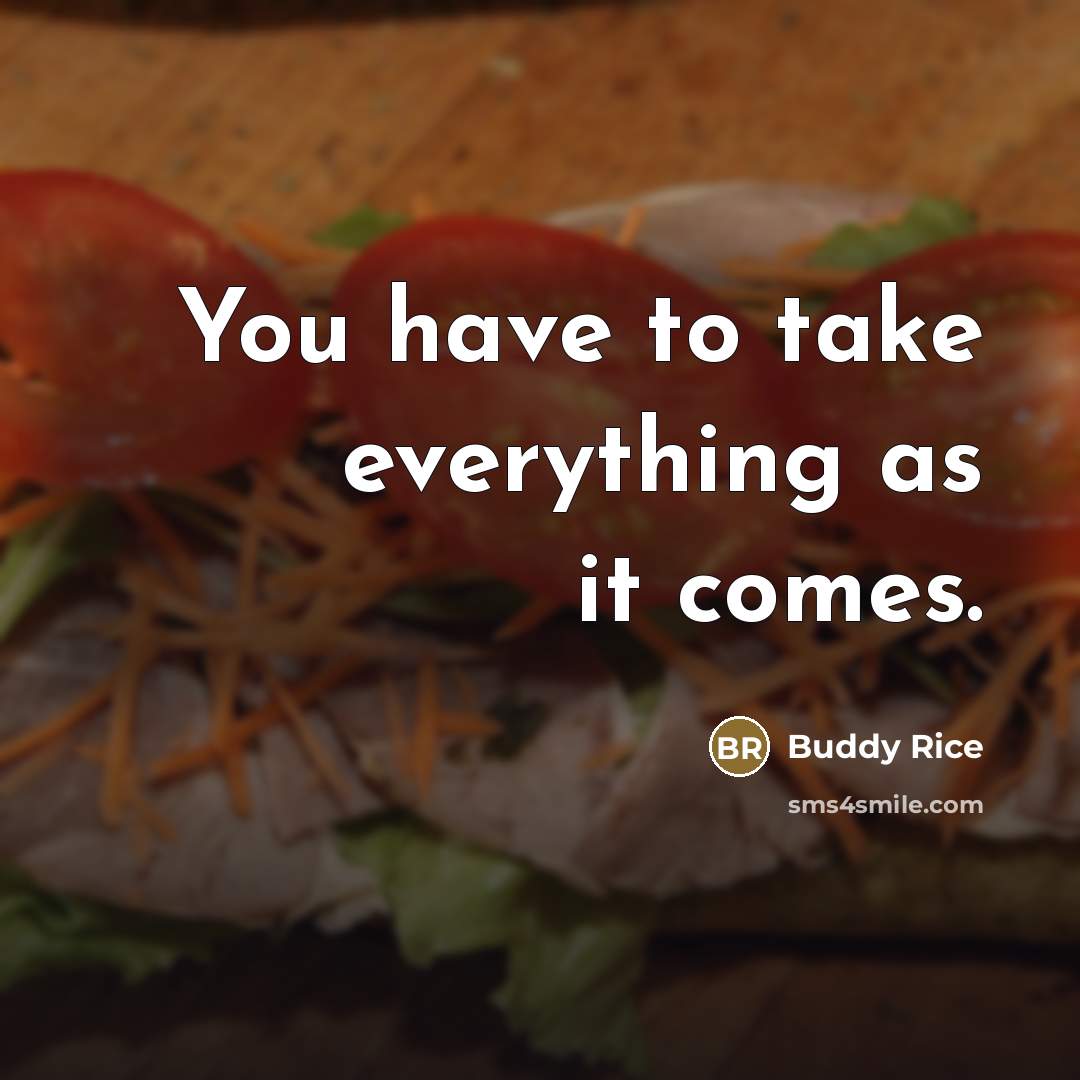 “You have to take everything as it comes.…” quote by Buddy Rice