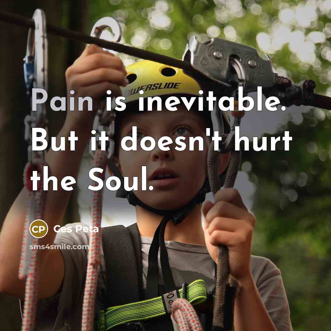 “Pain is inevitable. But it doesn't hurt the Soul.…” quote by Ces Peta