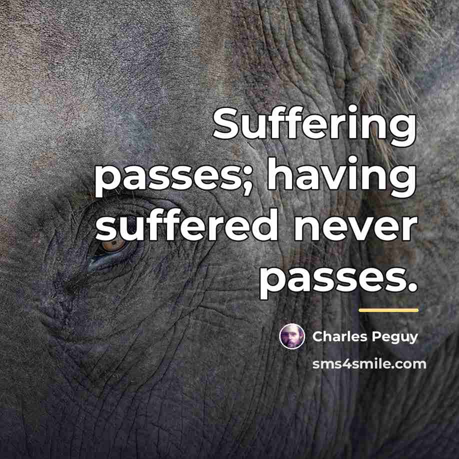 “Suffering passes; having suffered never passes.…” quote by Charles Peguy