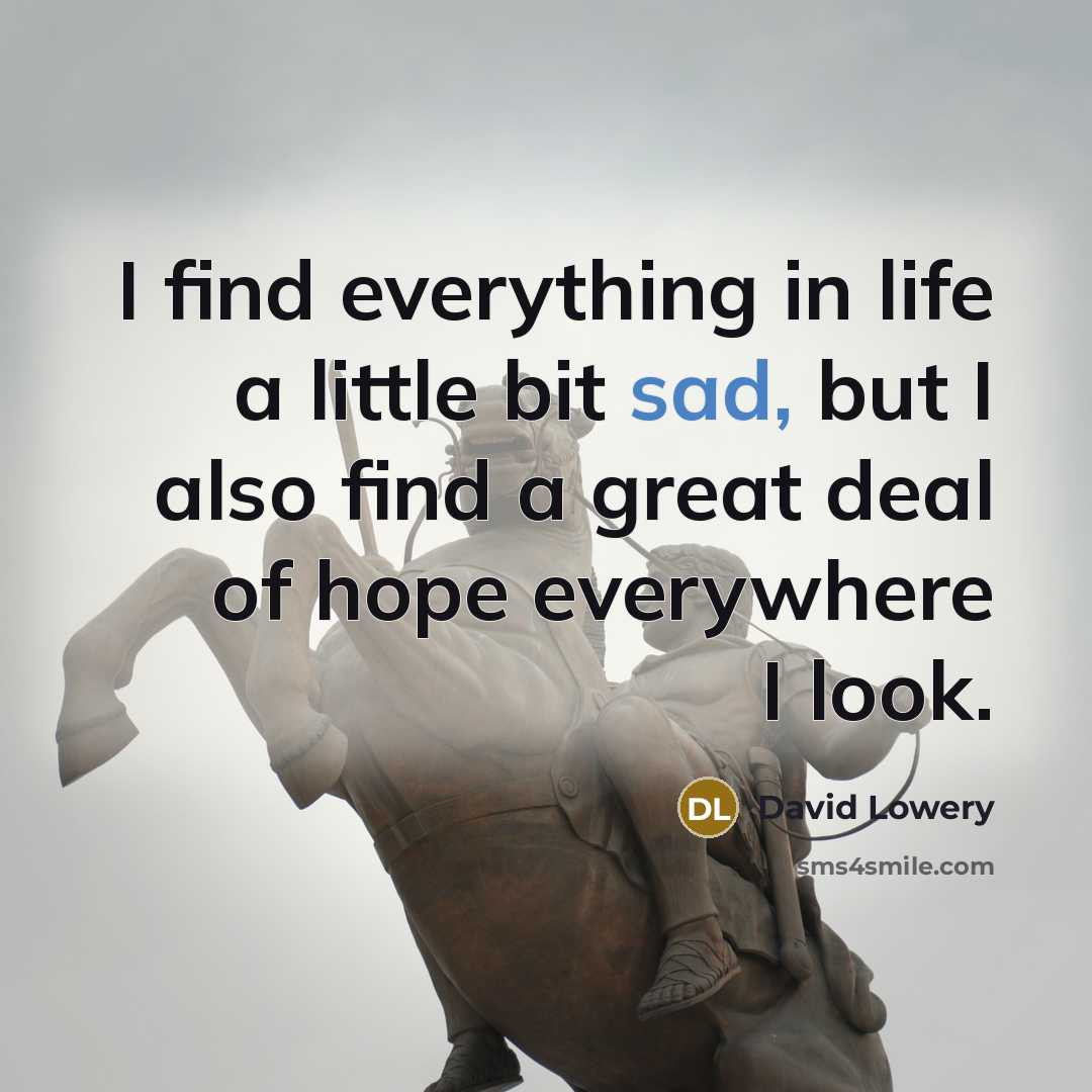 “I find everything in life a little bit sad, but…” quote by David Lowery