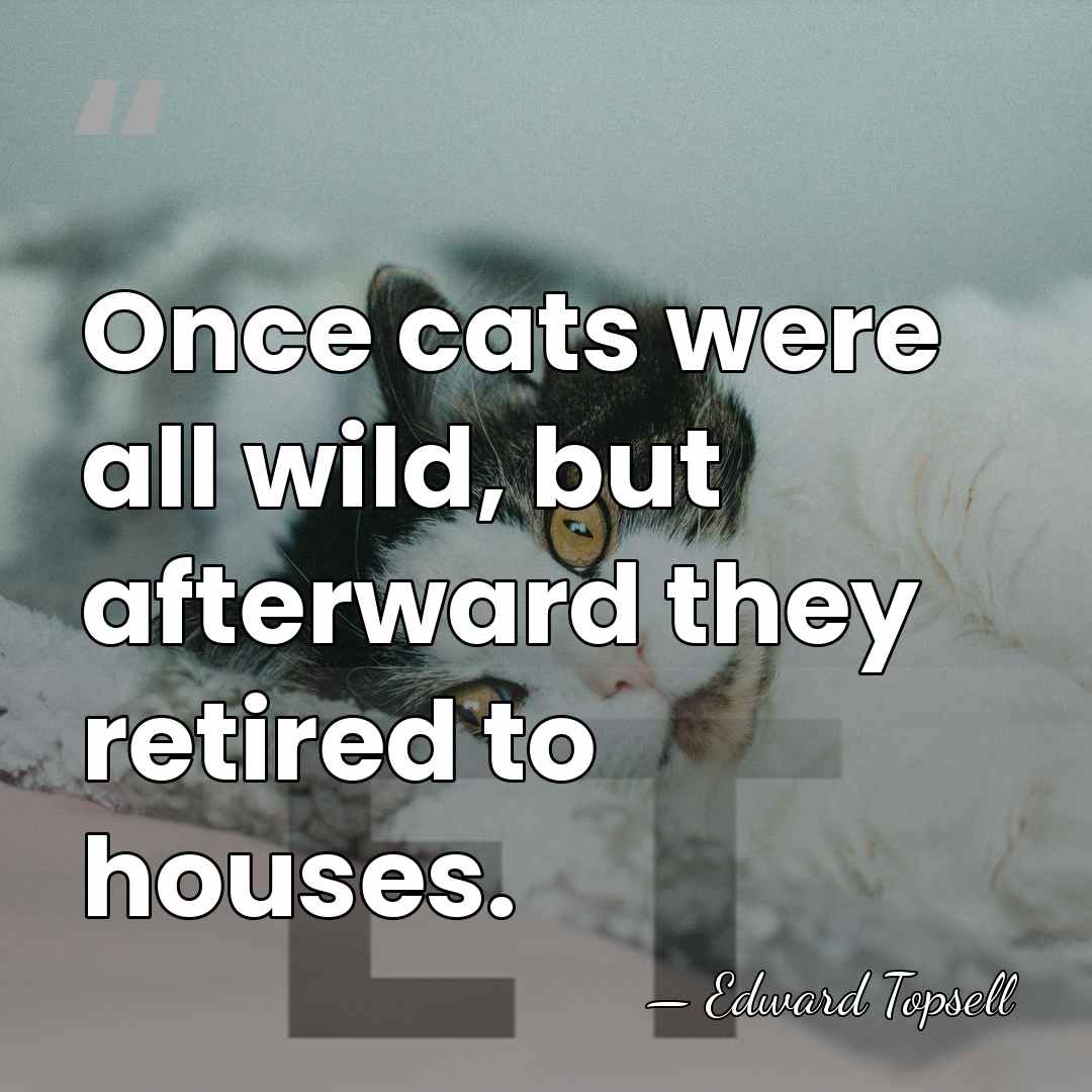 Once cats were all wild, but afterward they retired to houses. - Edward Topsell