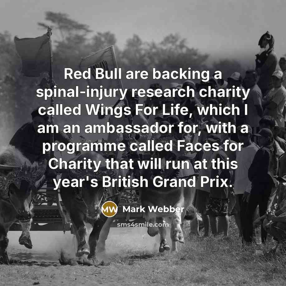 “Red Bull are backing a spinal-injury research charity called Wings…” quote by Mark Webber