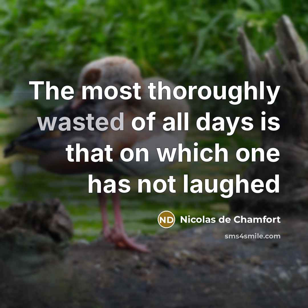 “The most thoroughly wasted of all days is that on…” quote by Nicolas De Chamfort
