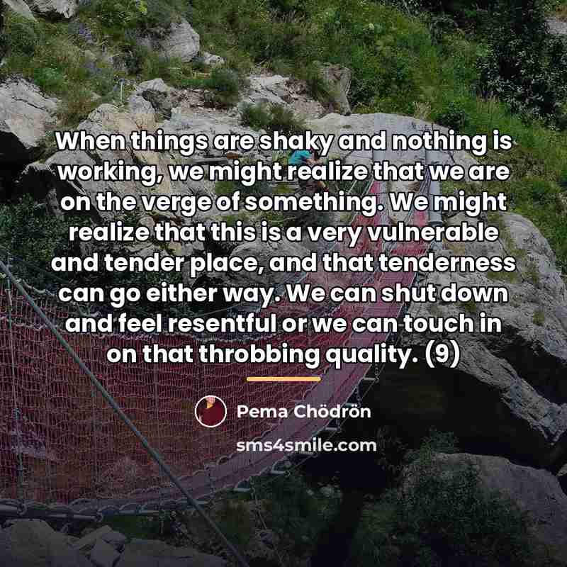 “When things are shaky and nothing is working, we might…” quote by Pema Chodron