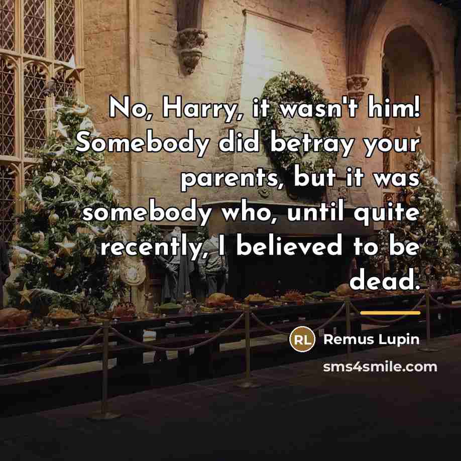 “No, Harry, it wasn't him! Somebody did betray your parents,…” quote by Remus Lupin