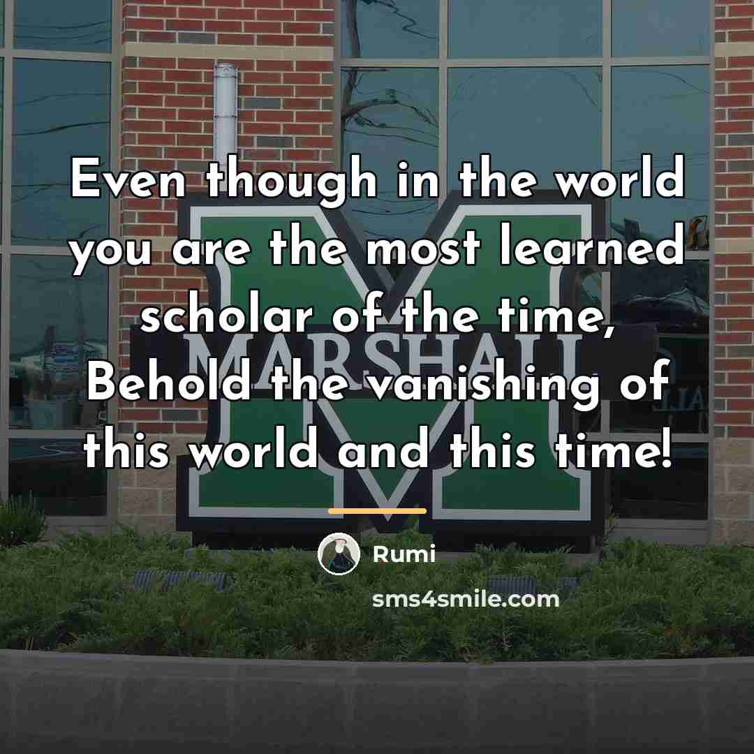 “Even though in the world you are the most learned…” quote by Rumi