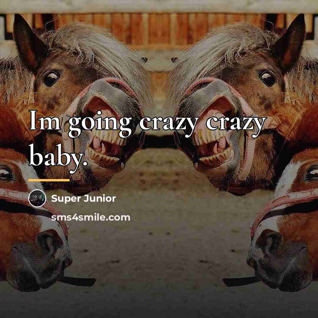 “Im going crazy crazy baby.…” quote by Super Junior