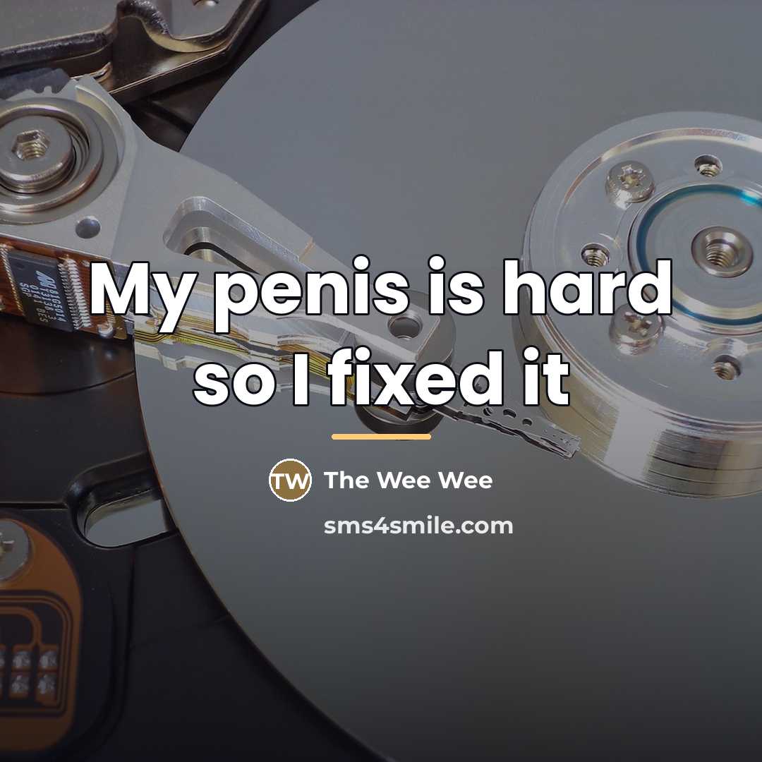 “My penis is hard so I fixed it…” quote by The Wee Wee