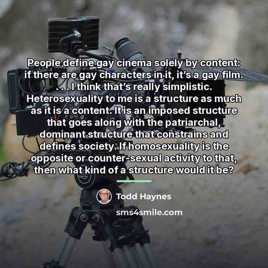 “People define gay cinema solely by content: if there are…” quote by Todd Haynes