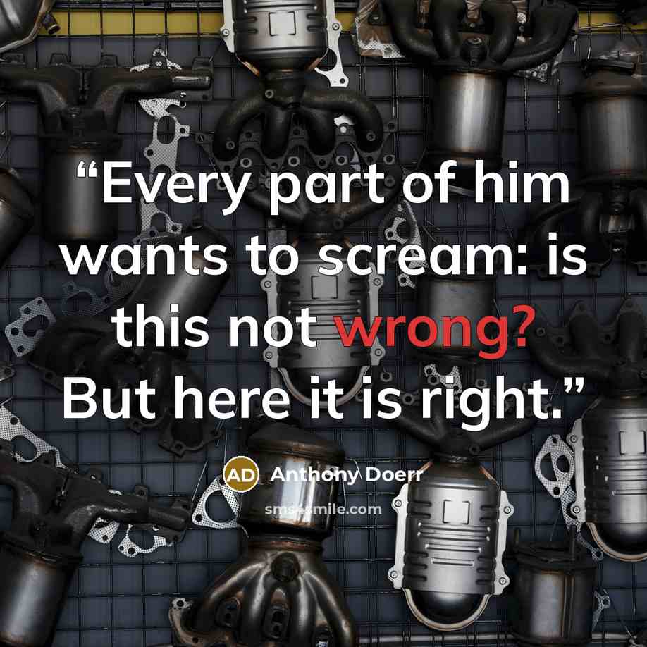 “Every part of him wants to scream: is this not wrong? But here it is right.” quote by Anthony Doerr