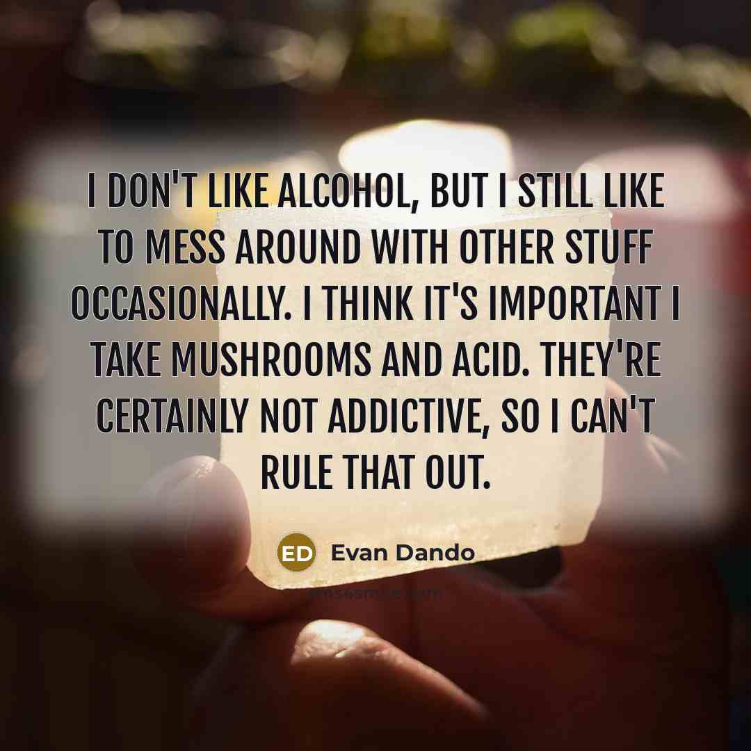 “I don't like alcohol, but I still like to mess…” quote by Evan Dando
