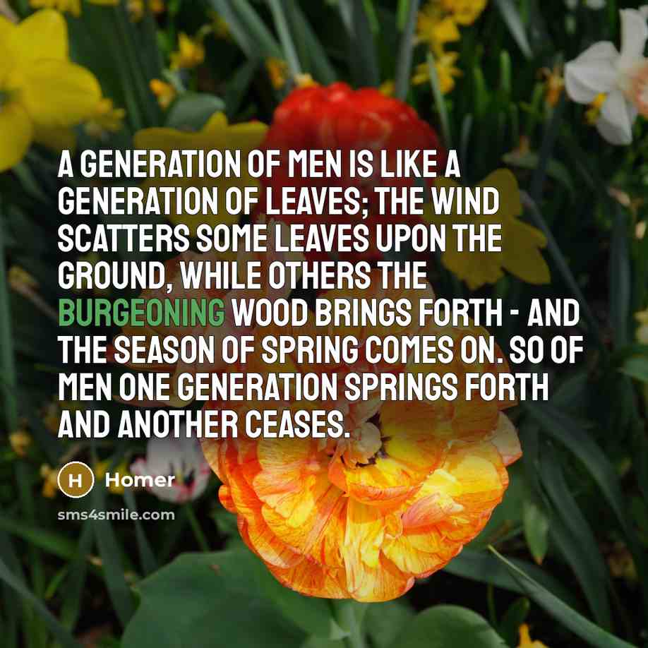“A generation of men is like a generation of leaves;…” quote by Homer