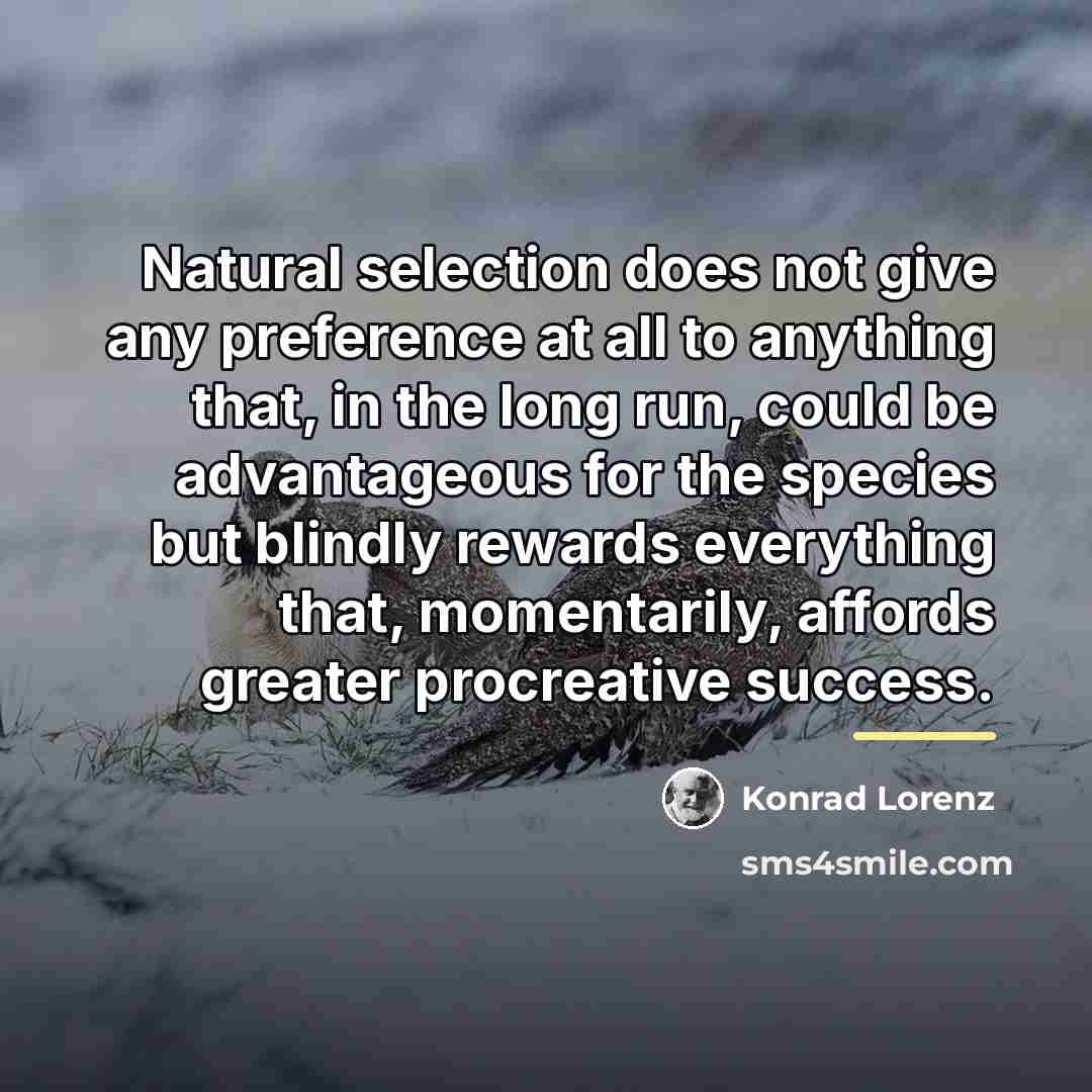 “Natural selection does not give any preference at all to…” quote by Konrad Lorenz