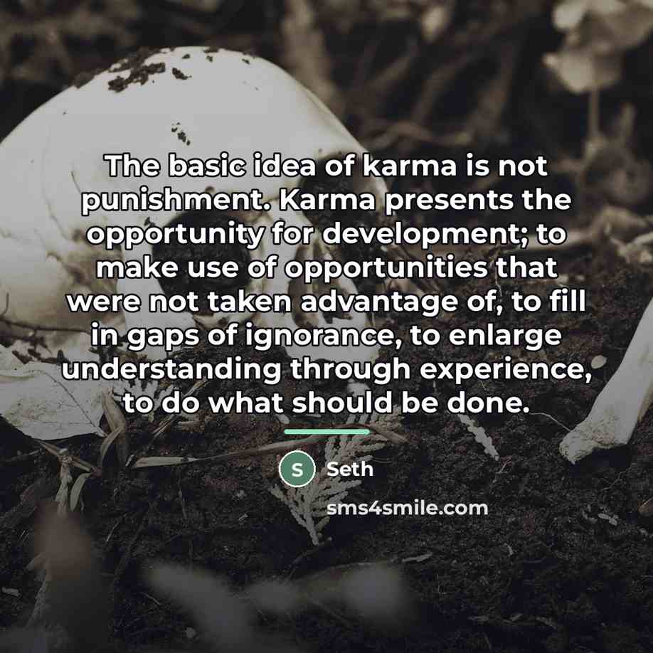 “The basic idea of karma is not punishment. Karma presents…” quote by Seth