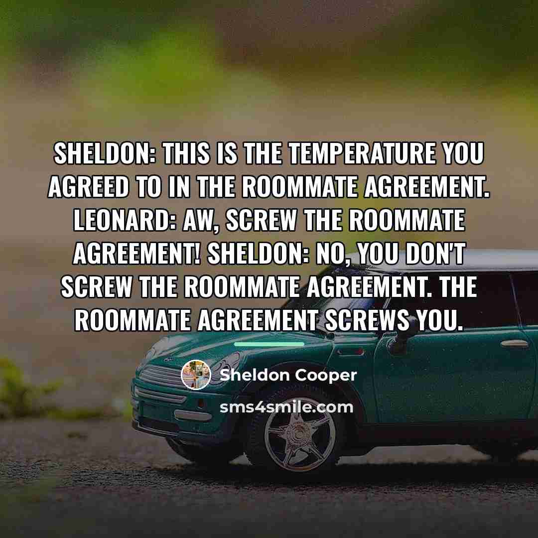 “Sheldon: This is the temperature you agreed to in the…” quote by Sheldon Cooper