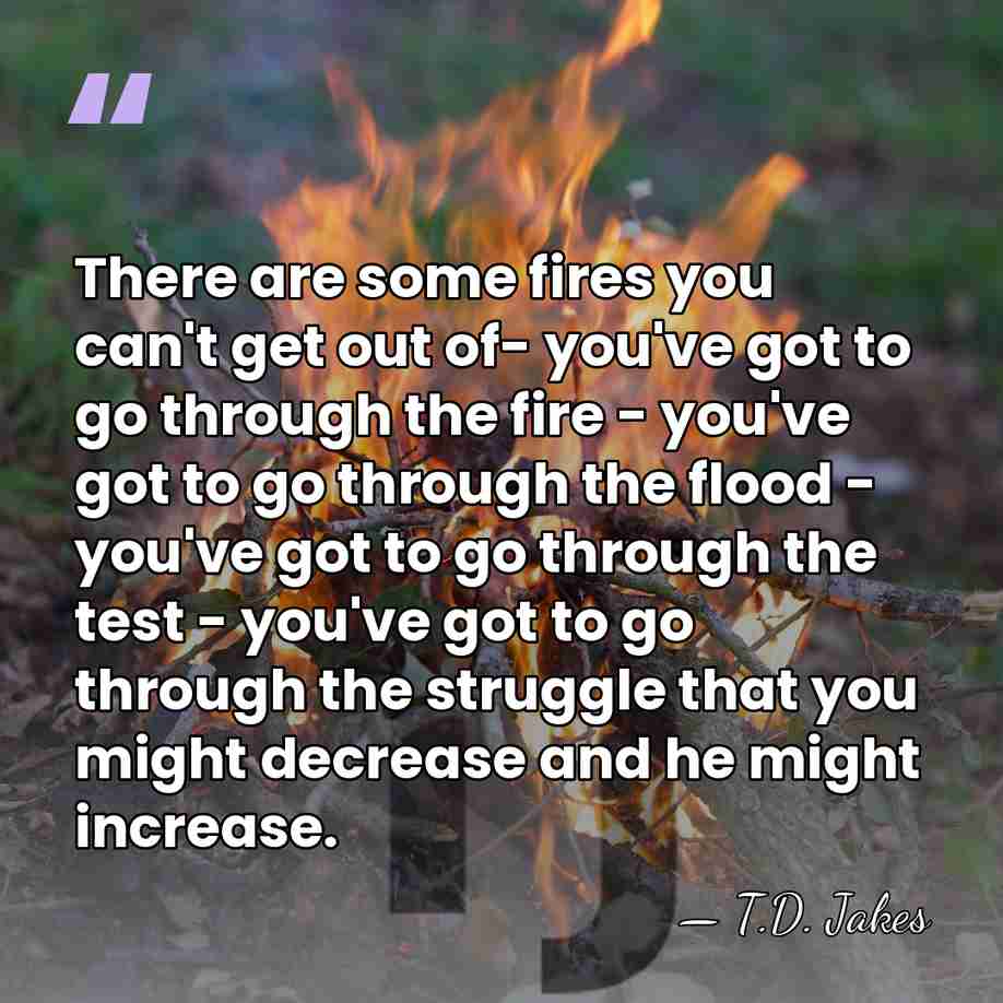 There are some fires you can't get out of- you've got to&hellip; - T.D. Jakes