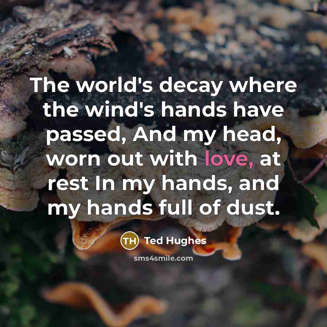 “The world's decay where the wind's hands have passed, And…” quote by Ted Hughes