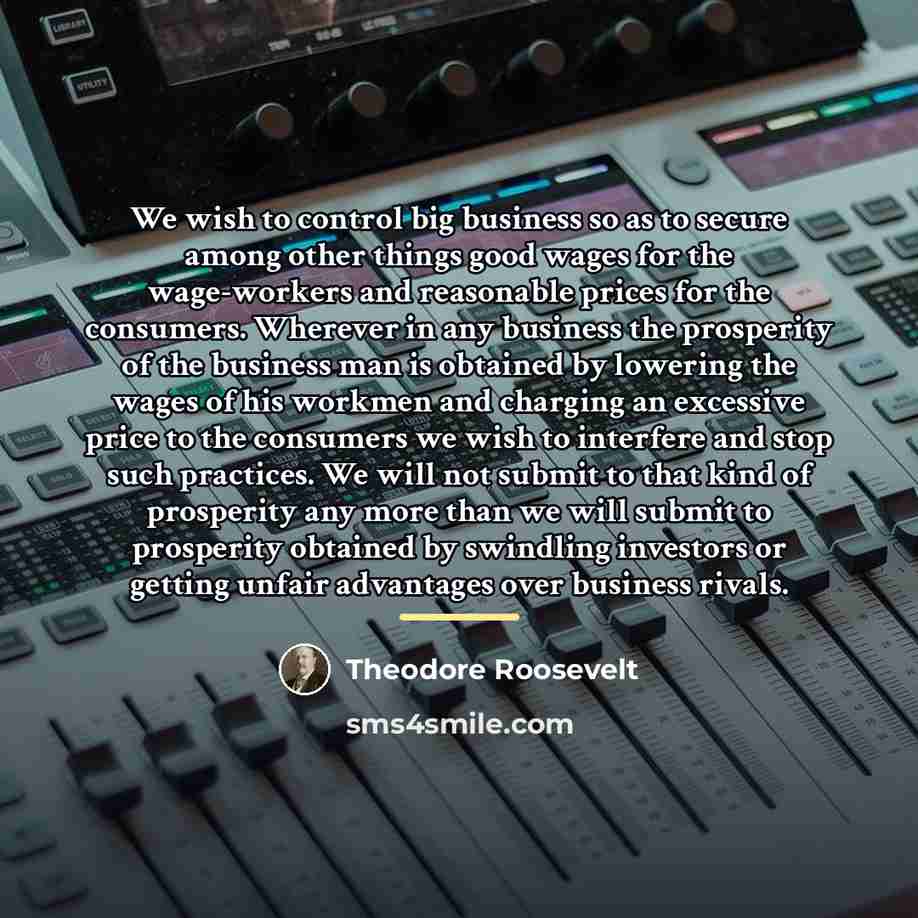 “We wish to control big business so as to secure…” quote by Theodore Roosevelt