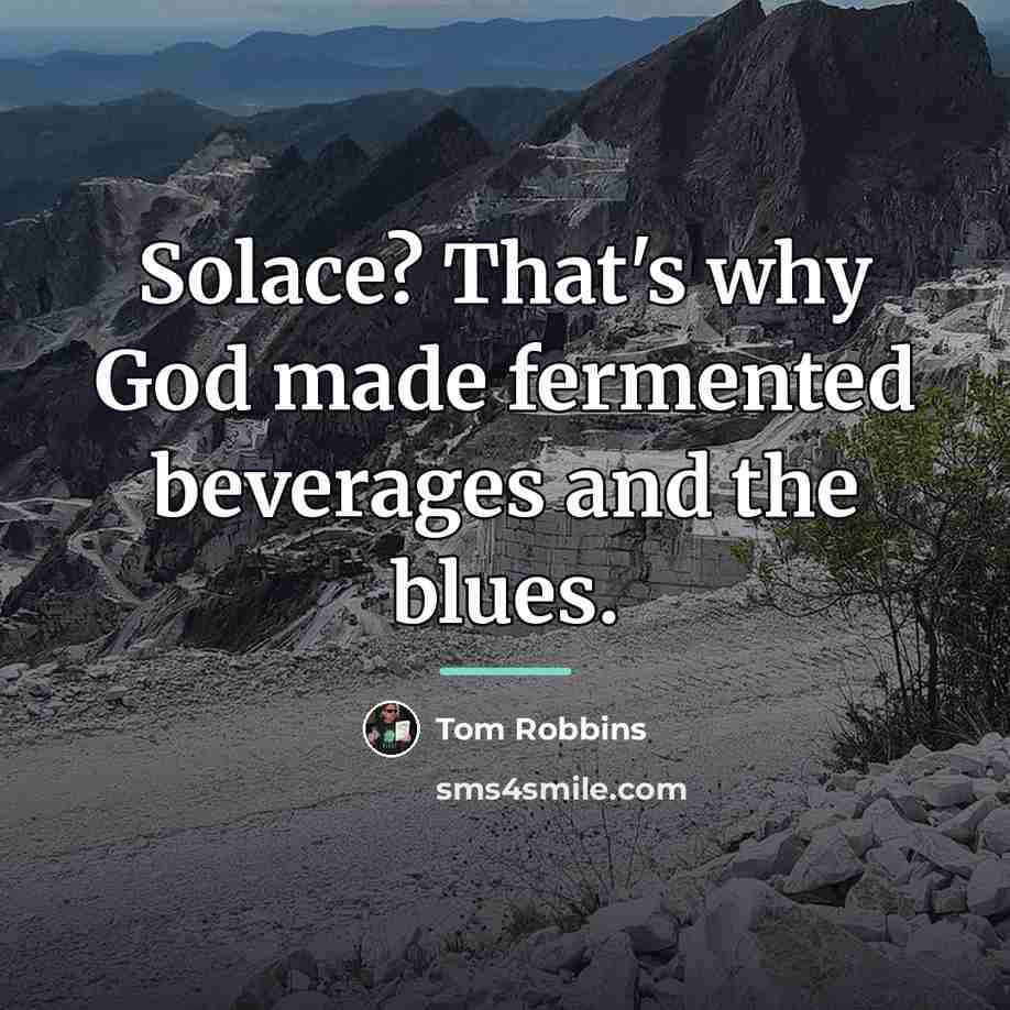 “Solace? That's why God made fermented beverages and the blues.…” quote by Tom Robbins