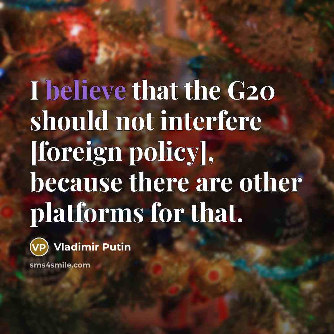 “I believe that the G20 should not interfere [foreign policy],…” quote by Vladimir Putin
