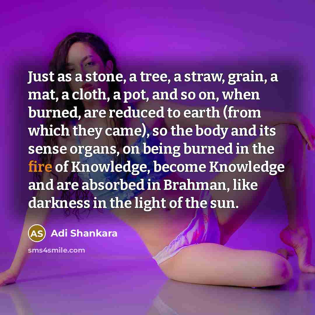 “Just as a stone, a tree, a straw, grain, a…” quote by Adi Shankara