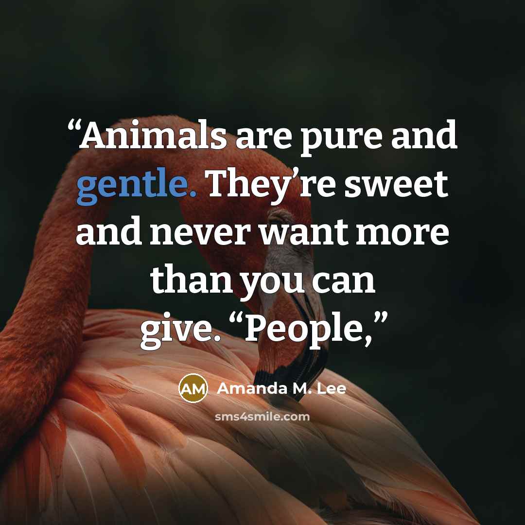 “Animals are pure and gentle. They’re sweet and never want more than you can give. “People,” quote by Amanda M. Lee