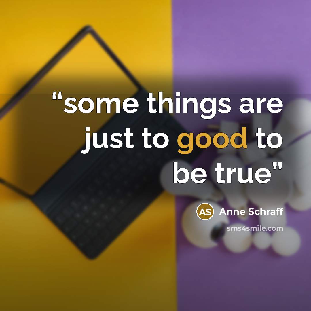 “some things are just to good to be true” quote by Anne Schraff