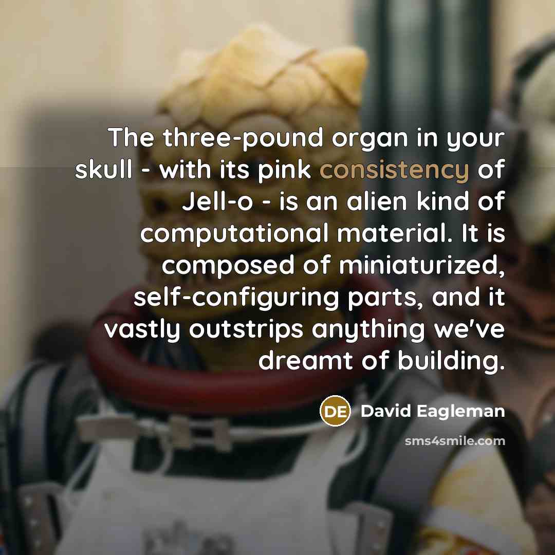 “The three-pound organ in your skull - with its pink…” quote by David Eagleman