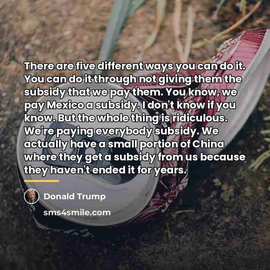 “There are five different ways you can do it. You…” quote by Donald Trump