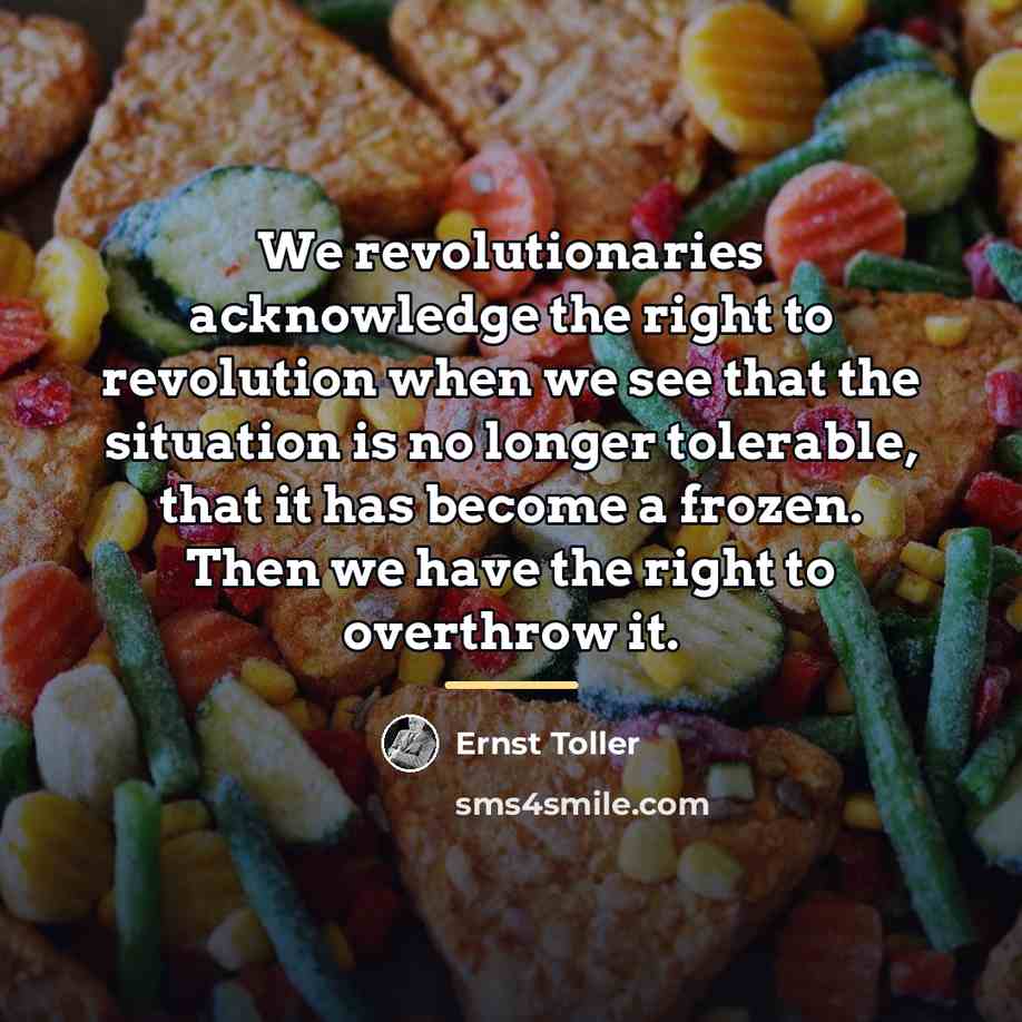 “We revolutionaries acknowledge the right to revolution when we see…” quote by Ernst Toller