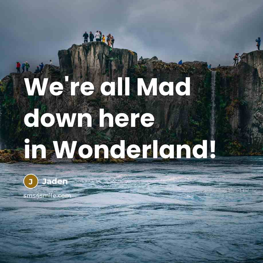 “We're all Mad down here in Wonderland!…” quote by Jaden