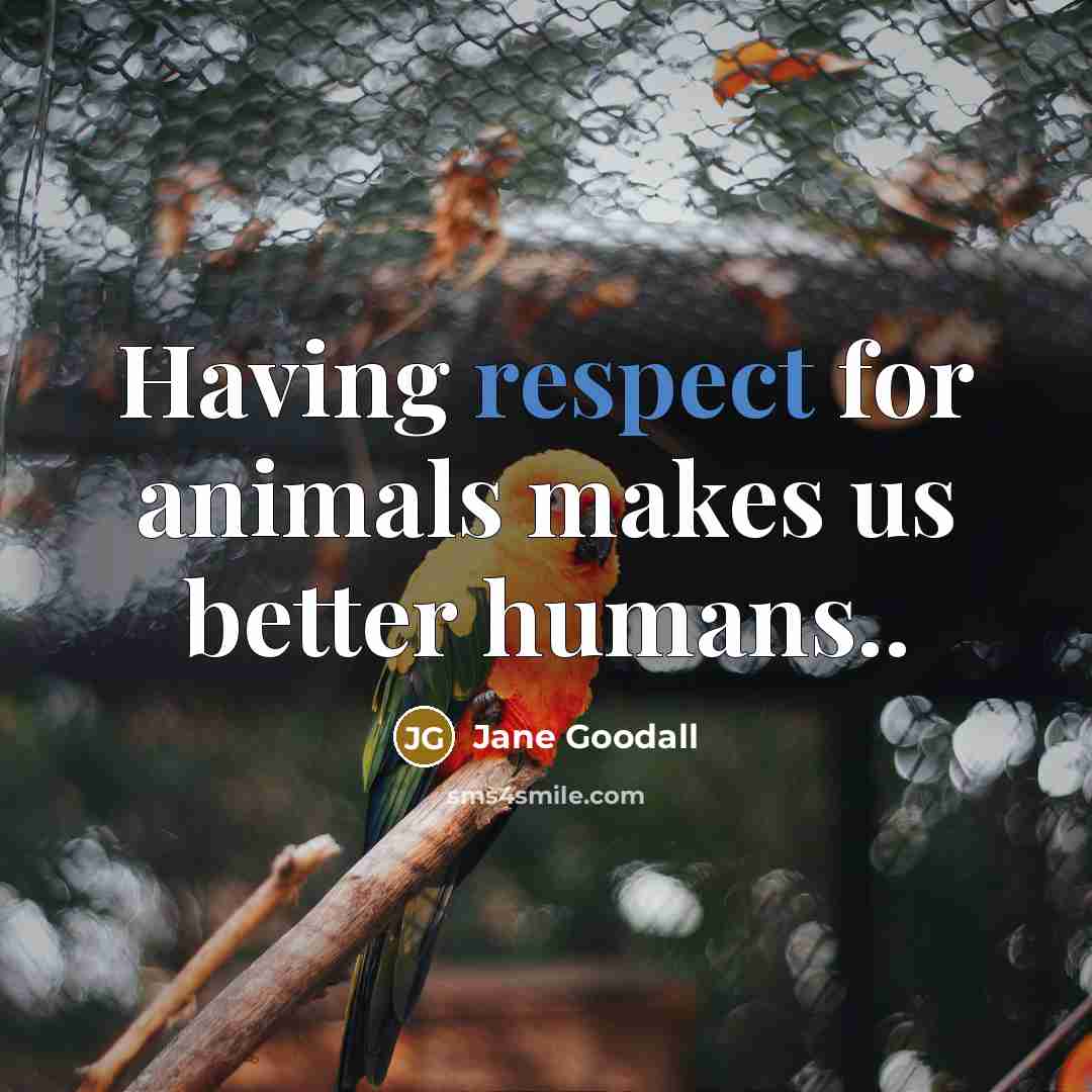 “Having respect for animals makes us better humans..…” quote by Jane Goodall