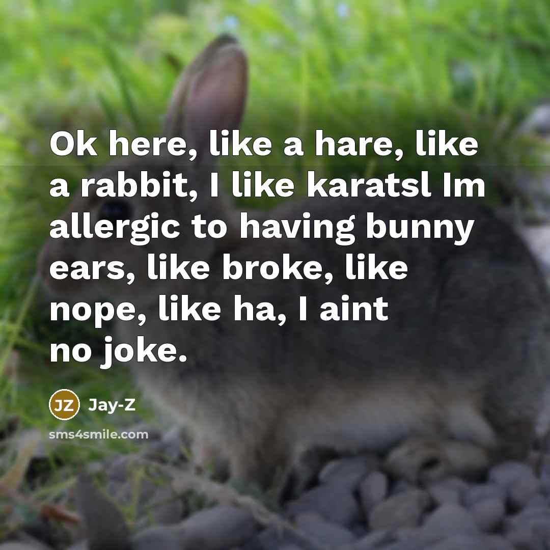 “Ok here, like a hare, like a rabbit, I like…” quote by Jay-Z