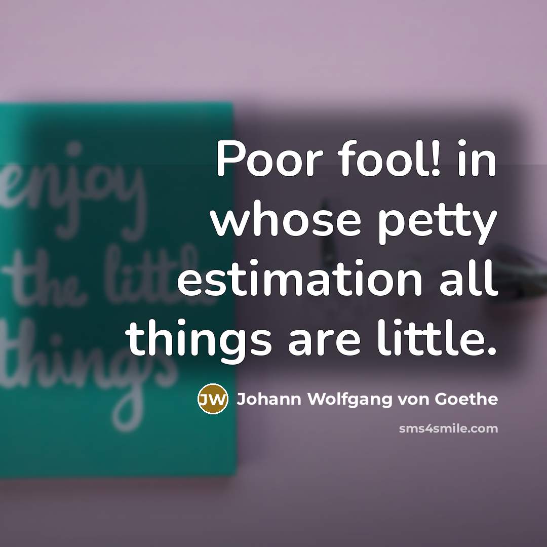 “Poor fool! in whose petty estimation all things are little.…” quote by Johann Wolfgang von Goethe