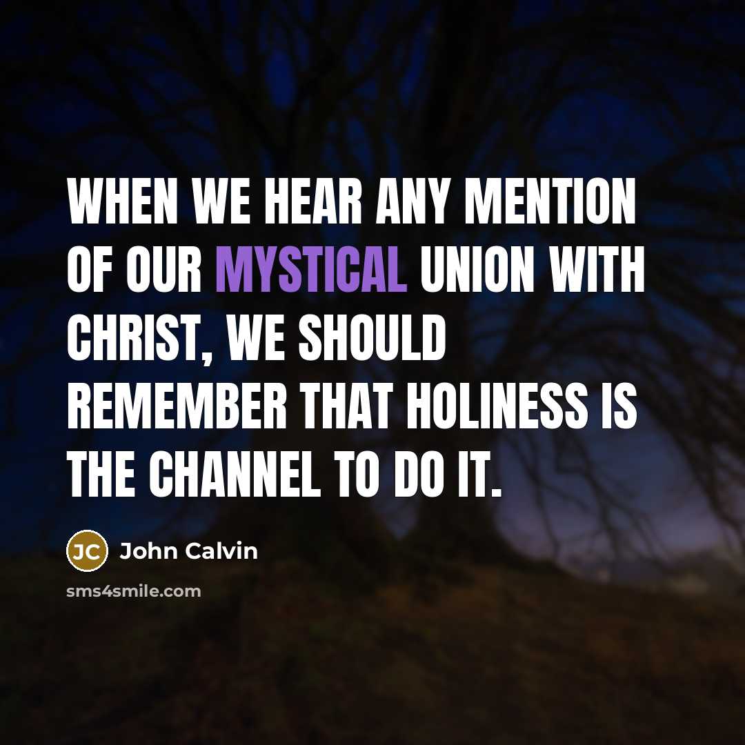 “When we hear any mention of our mystical union with…” quote by John Calvin
